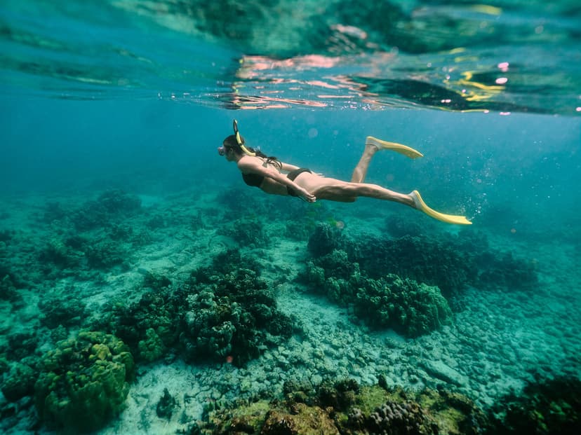 8 Safety Tips for First-Time Snorkeling
