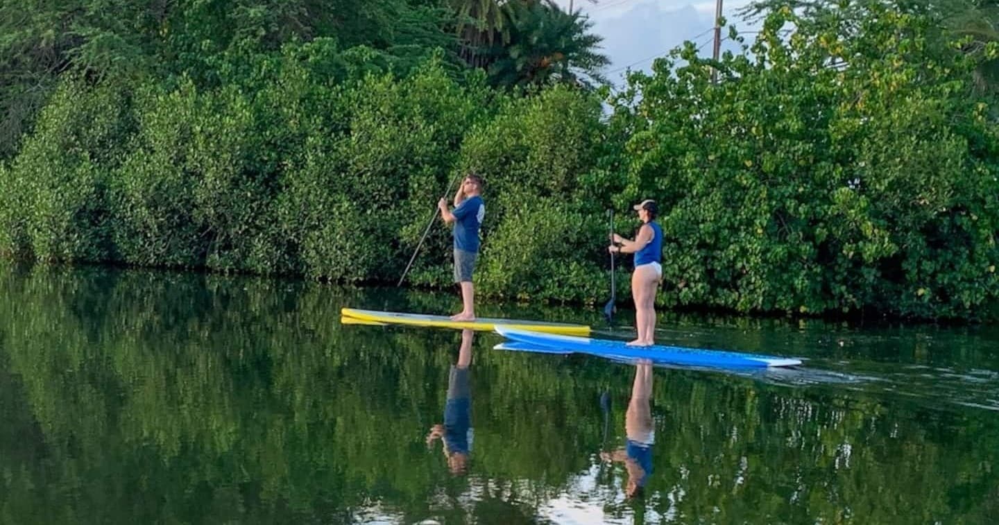 Morning Paddle | Hawaii.com