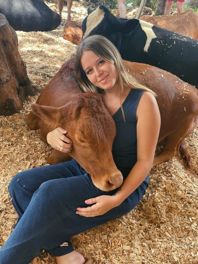 Cow Cuddling in Hilo: The Hug You Didn't Know You Needed
