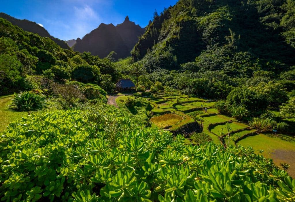 Limahuli Garden on the island of Kauaihateii hawiia hawaii. hawaiii hawiaii hwaii hawaai hawall hawii hawwai hawwaii hawwii hiwaii haiwaii hawia hawwi 1935864370