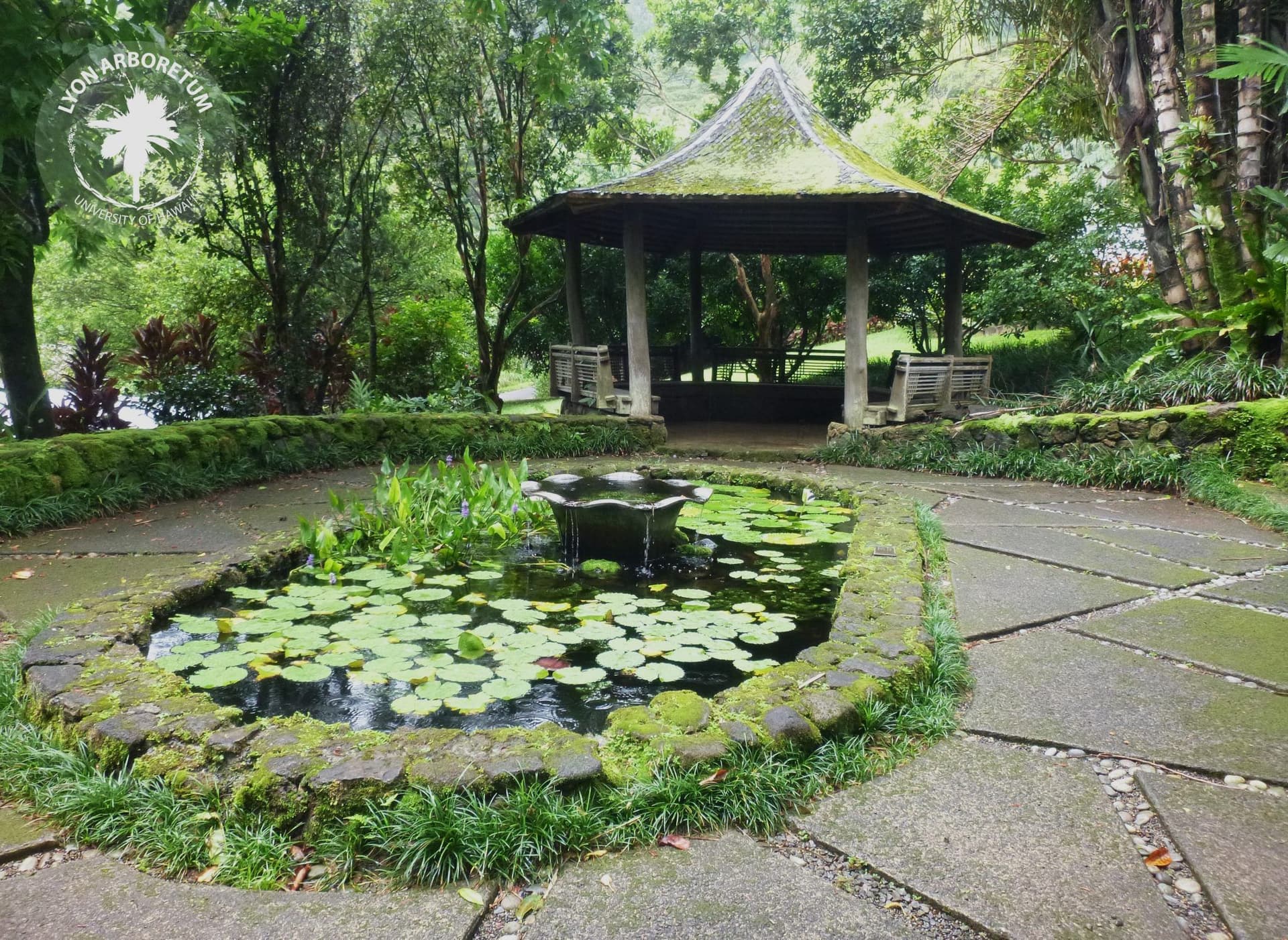Lyon Arboretum at UH Manoa. Japanese tea garden. Oahu, Hawaii.