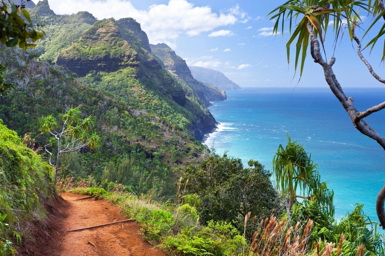 ocean view hiking trail in kauai