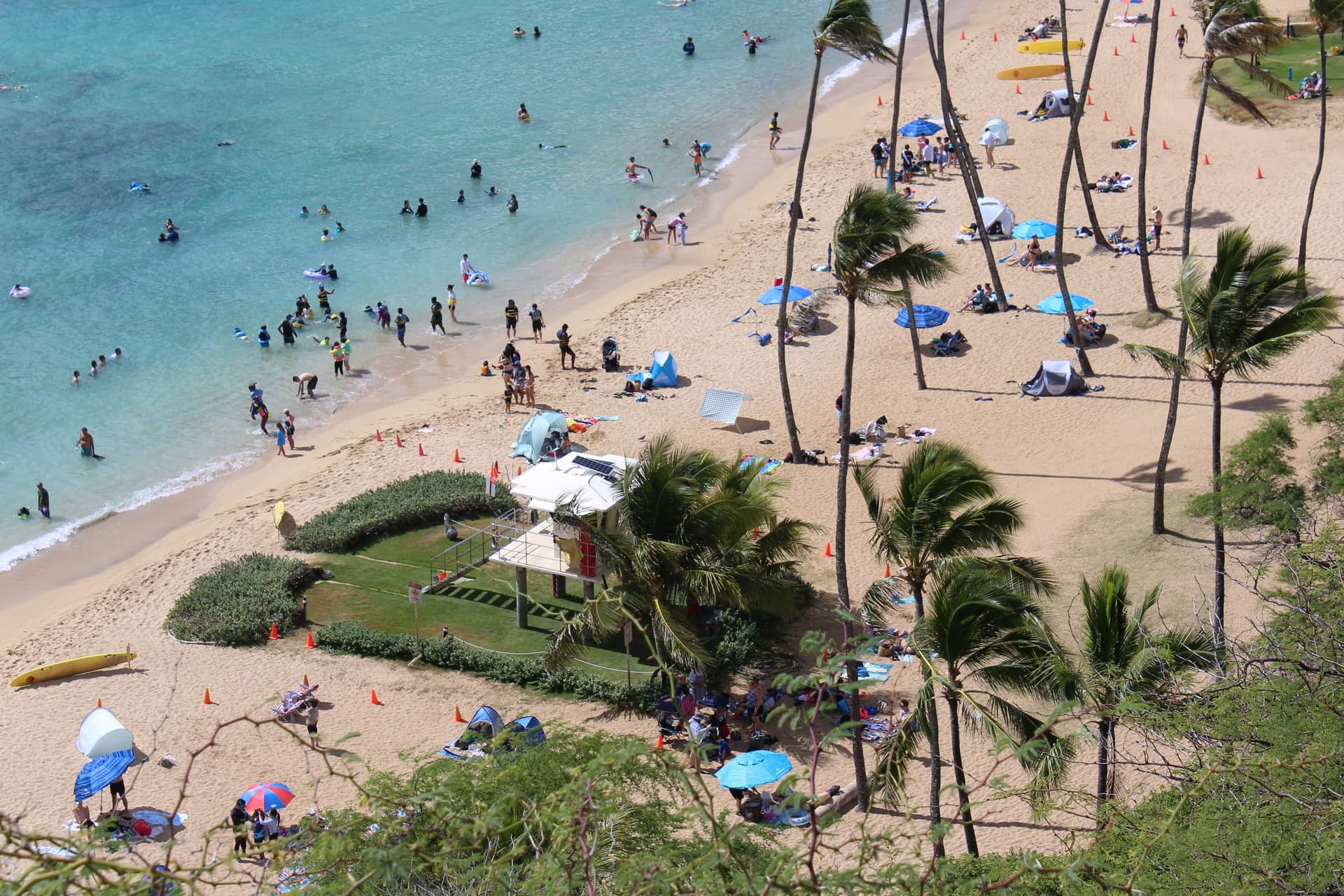 Crowded beach, lifeguard stand, palm trees