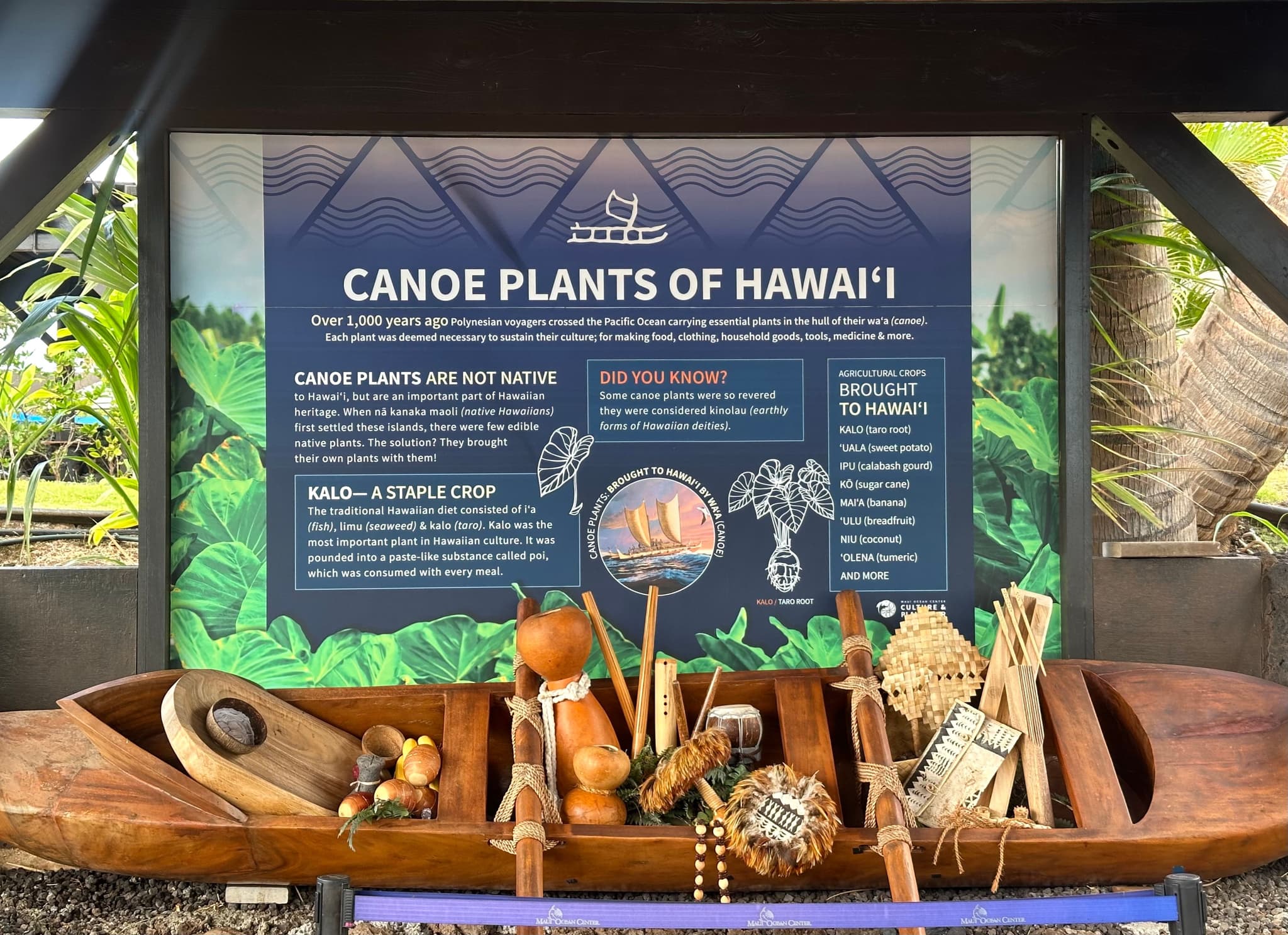 Photo by Sarah Burchard.