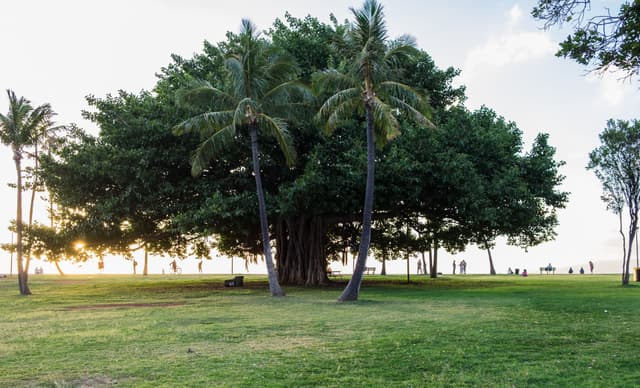 About Hawaiʻi, the Aloha State