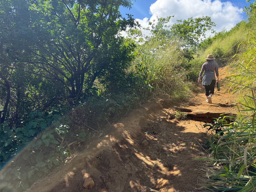 Hiking Hawaiʻi Island