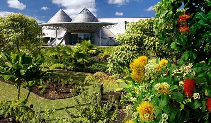 The grounds and gardens in front of Imiloa Astronomy Center on Big Island Hawaii.