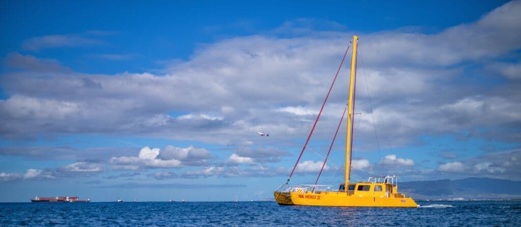 Image sourced on Shutterstock