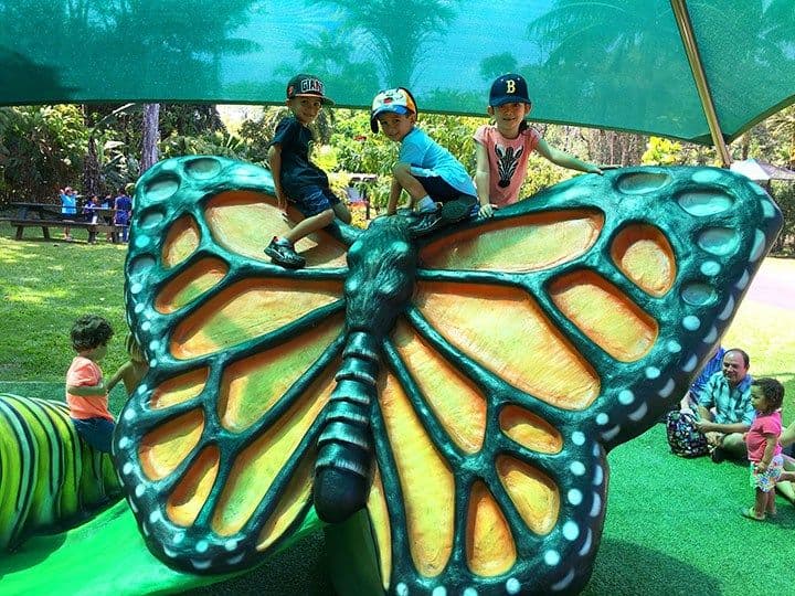 Image of family activities in big island