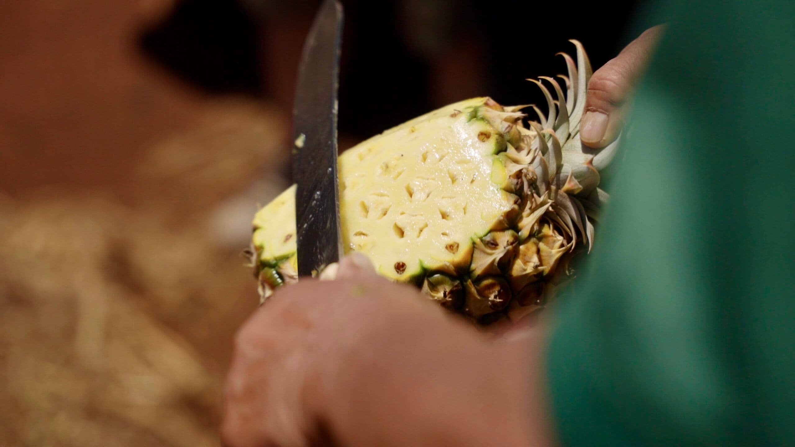 What You’ll Experience on a Maui Pineapple Plantation Excursion