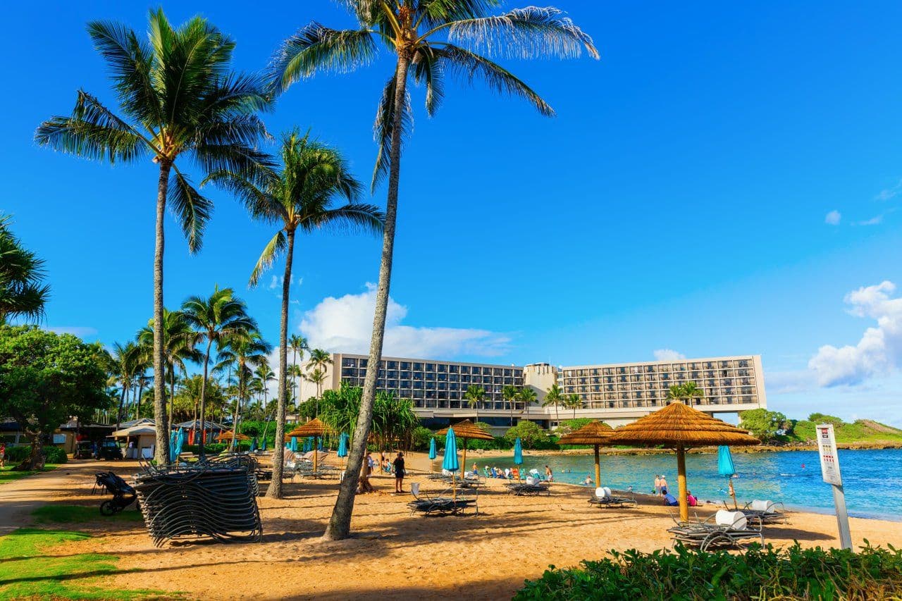 Beach, ocean, resort, palm trees