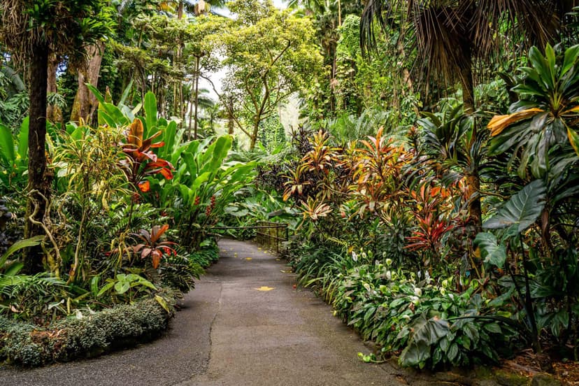 Exploring the Big Island Botanical Gardens of Hawaii