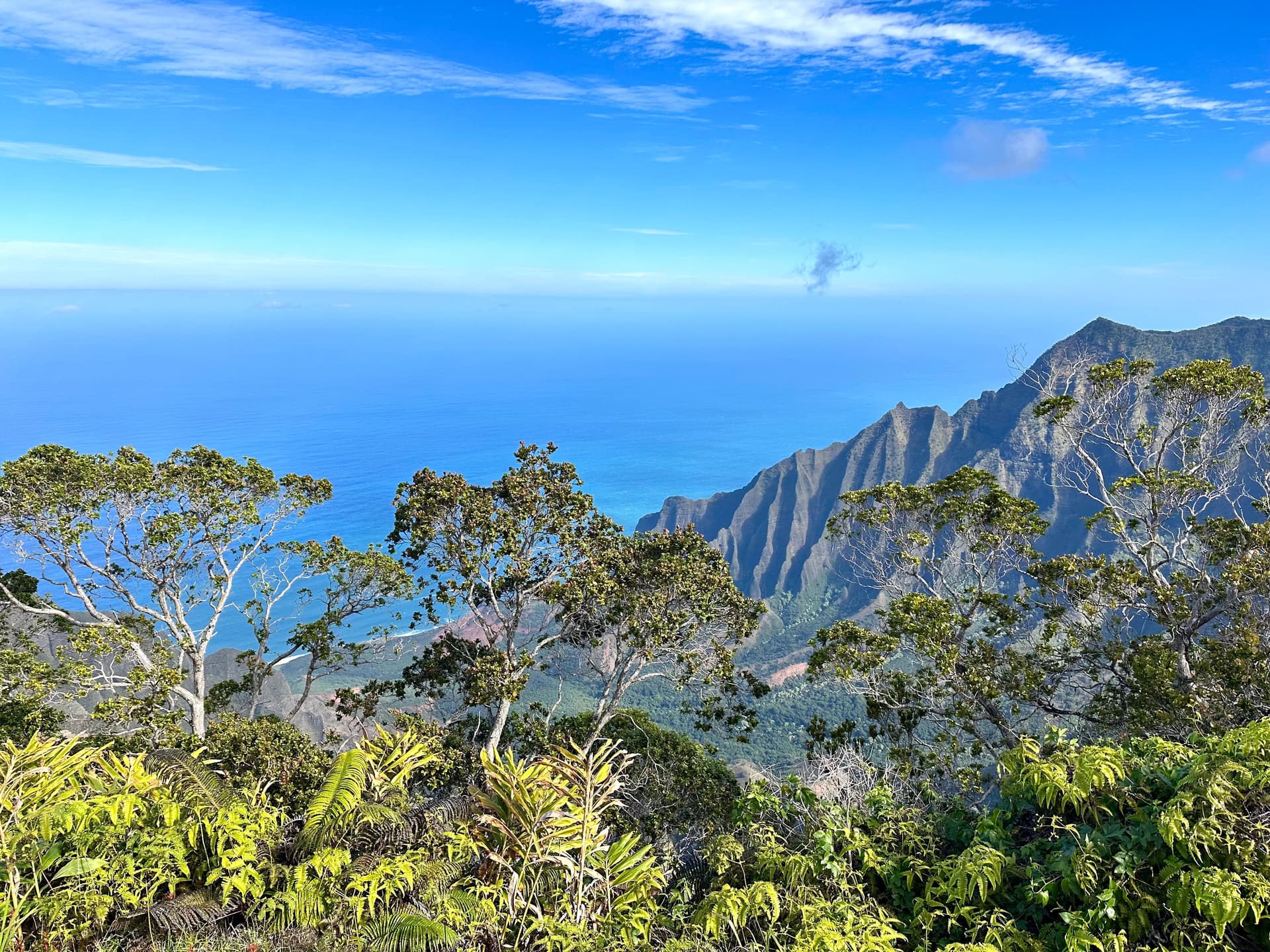 A view of the Nā Pali Cliffs from Kalalau Lookout on Kauai.