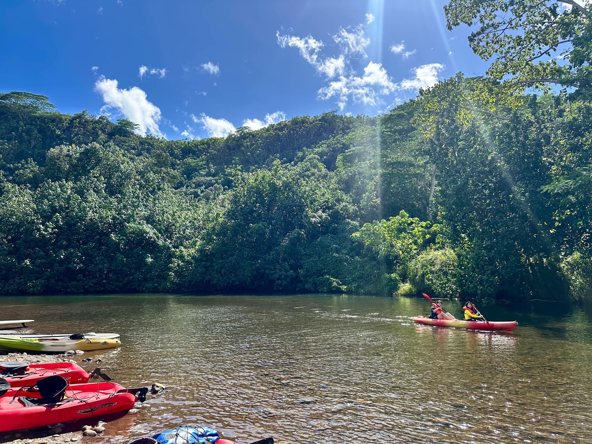 Kayaking the Wailua River. Photo by Sarah Burchard.
