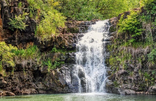 Waimea Valley: Oʻahu's Most Accessible Waterfall Hike