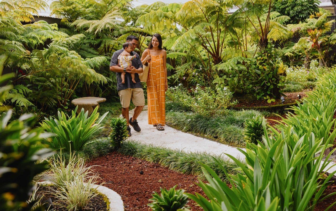 Family walking down a path in a garden full of ferns