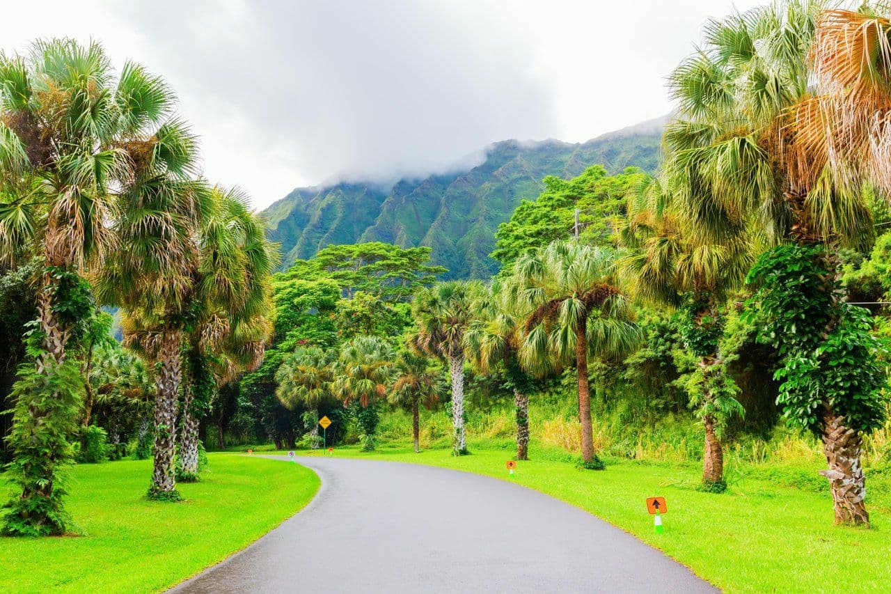 Hoʻomaluhia Botanical Garden. Photo by Christian Mueller (Shutterstock).