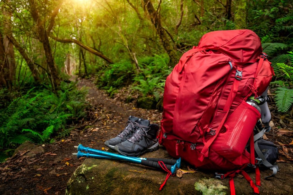 Red backpack and hiking gear set placed on rock in rainforest. Trekking and camping adventure.