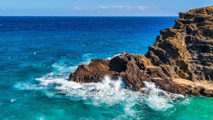 Hālona Blowhole: Scenic Lookout & Beach Cove