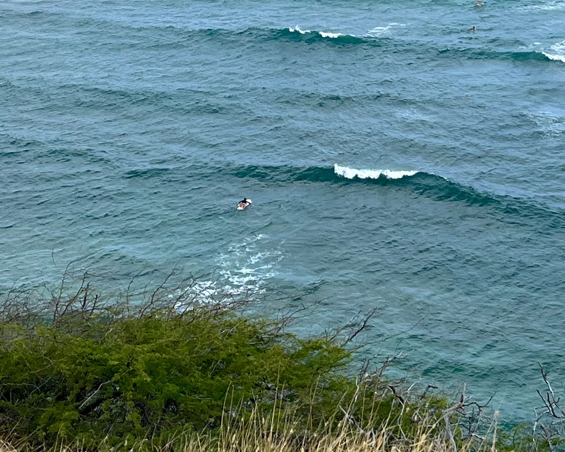 Surf break on oahu.