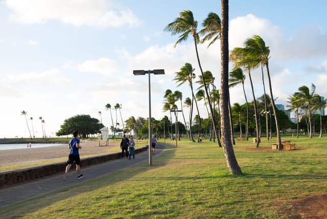 A Local's Guide to Ala Moana Beach Park, Oʻahu