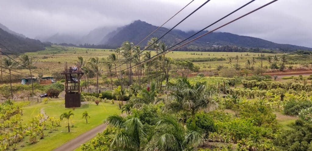 Zipline view over Maui plantation from Hawaii vacation travel. hateii hawiia hawaii. hawaiii hawiaii hwaii hawaai hawall hawii hawwai hawwaii hawwii hiwaii haiwaii hawia hawwi 1408189394