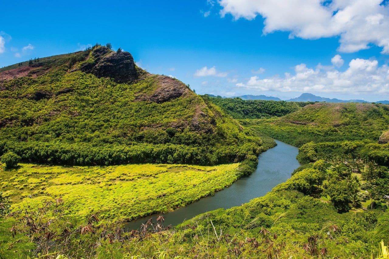 a river winding through tropical vegetation on kauai