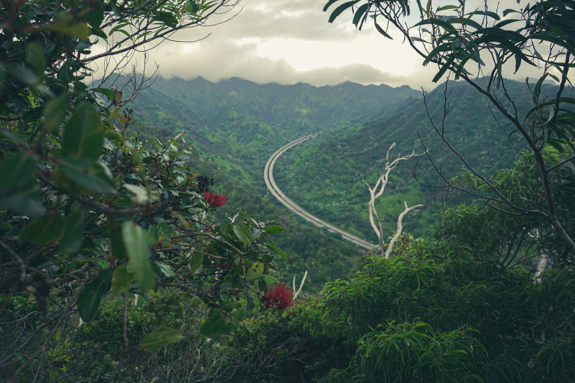 A lush valley with hiking trail.