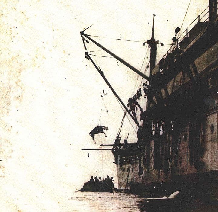 Photo courtesy of Paniolo Preservation Society.