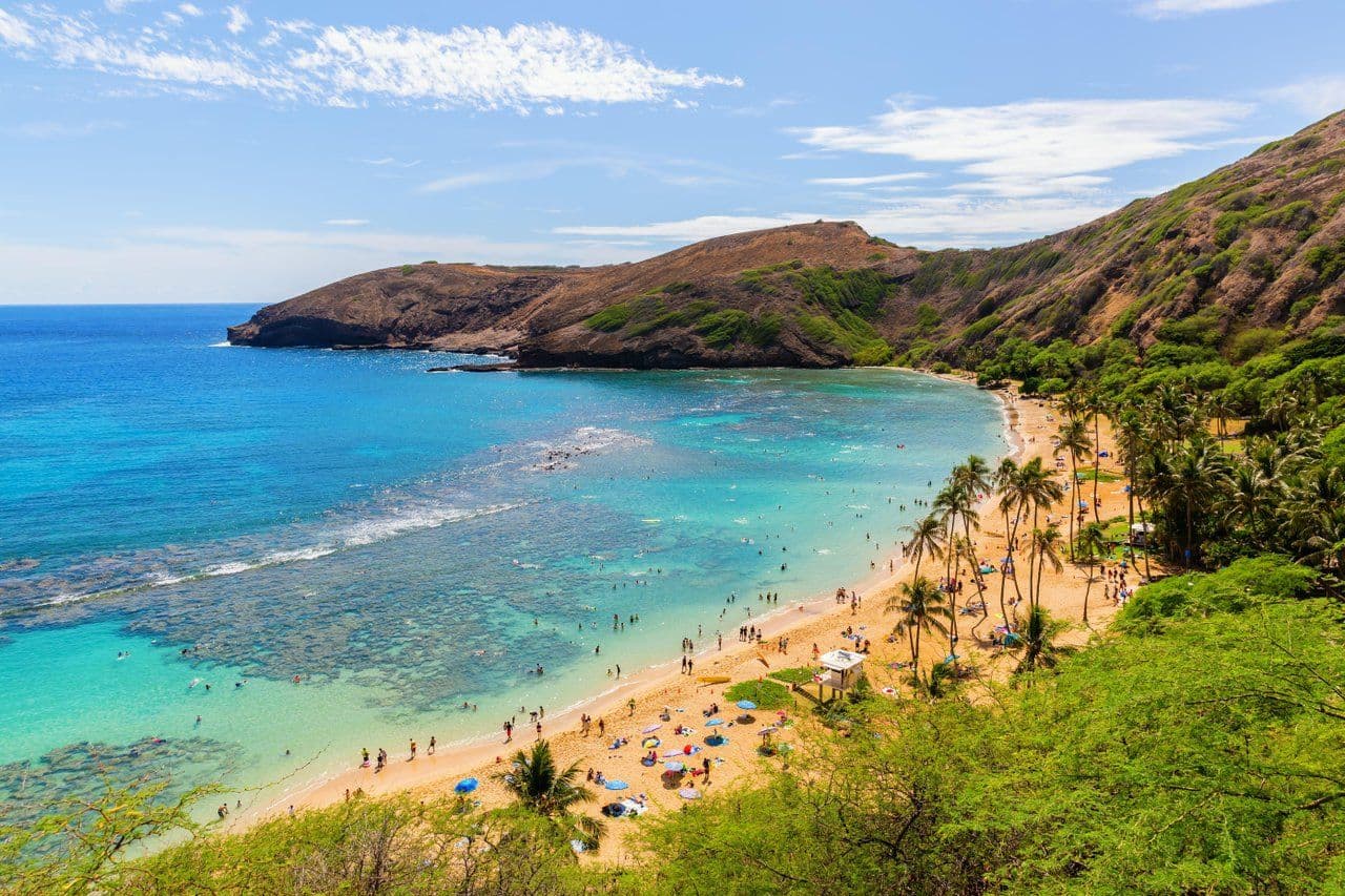 turquoise ocean, bay, palm trees, green mountain.