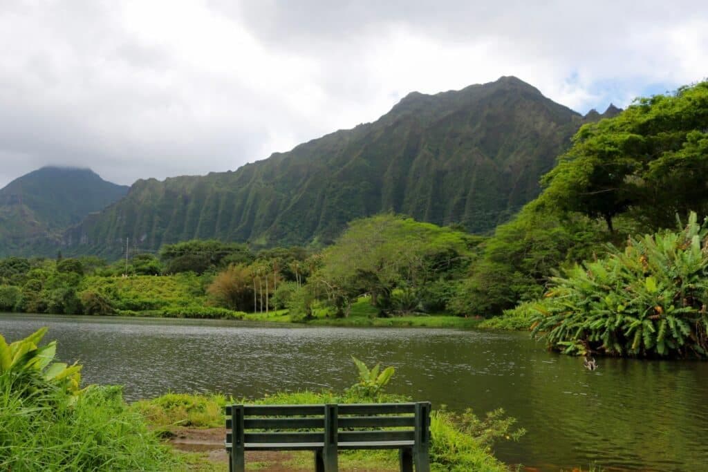 Hoʻomaluhia Botanical Garden, Ohau Hawaii 2505568679