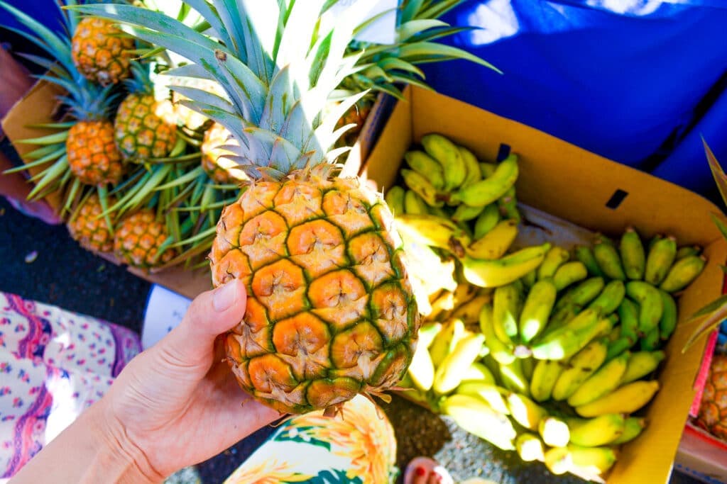 Honolulu farmers markethateii hawiia hawaii. hawaiii hawiaii hwaii hawaai hawall hawii hawwai hawwaii hawwii hiwaii haiwaii hawia hawwi 704462842