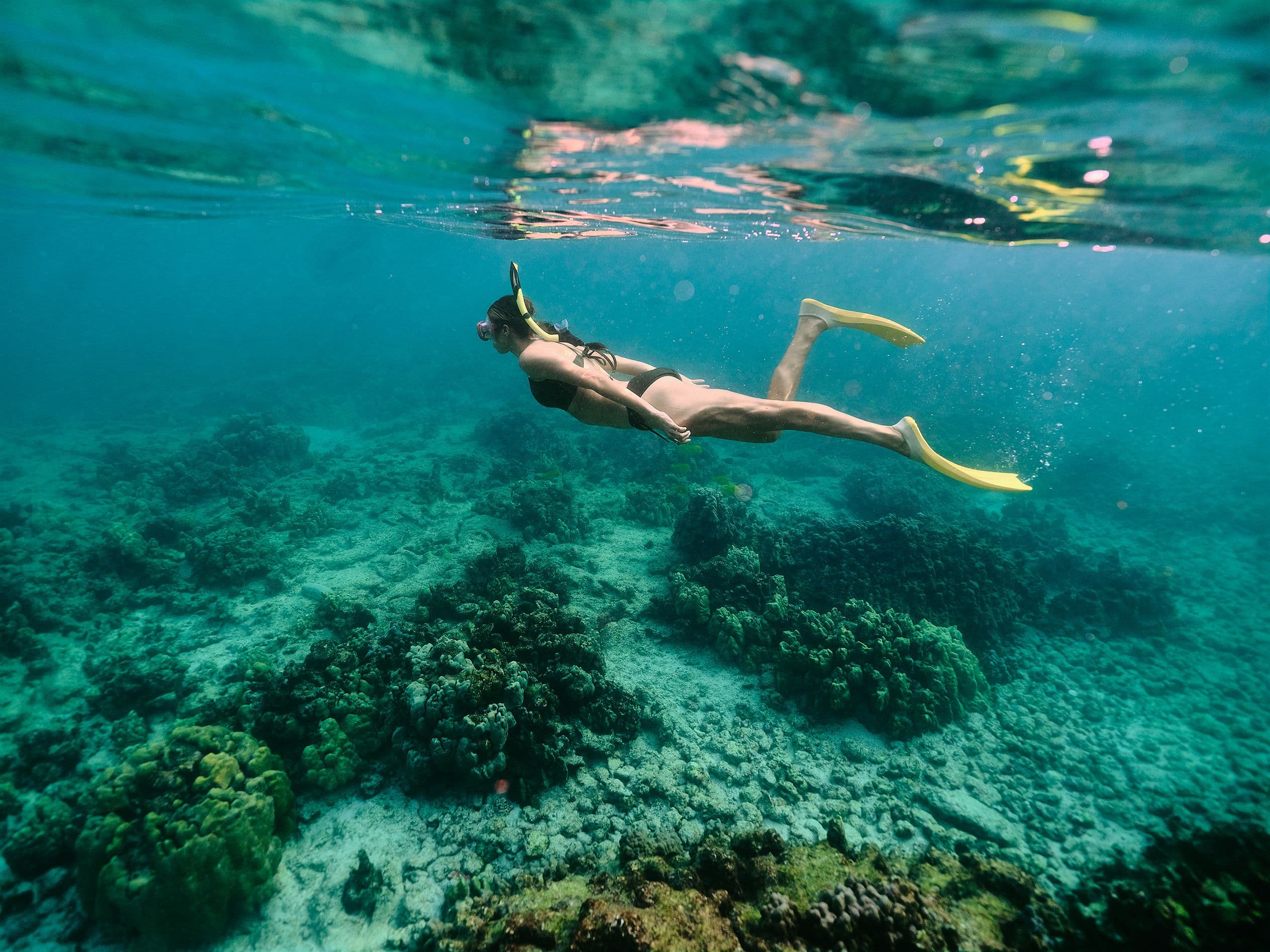 Snorkeling & Diving