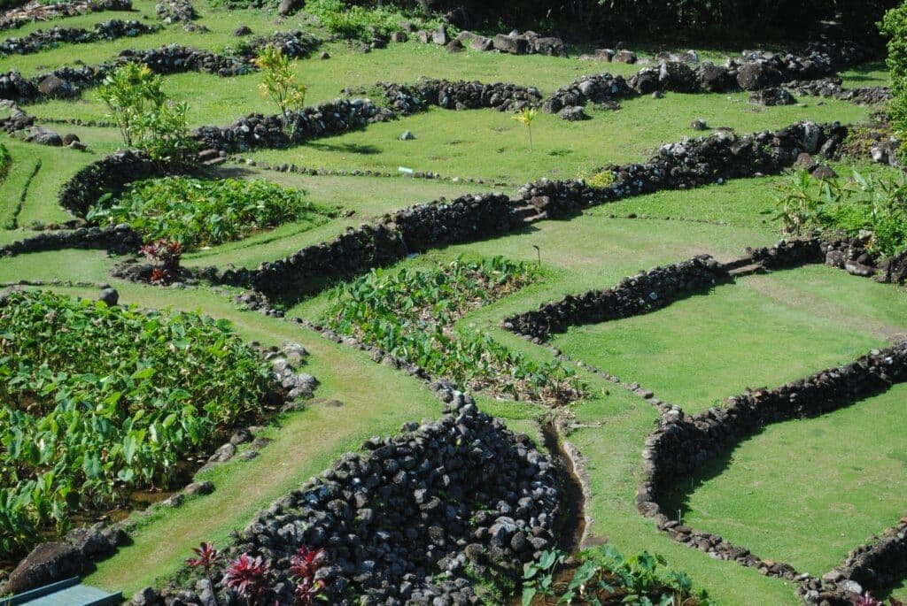 Limahuli Garden and Preserve. Kauaihateii hawiia hawaii. hawaiii hawiaii hwaii hawaai hawall hawii hawwai hawwaii hawwii hiwaii haiwaii hawia hawwi 2297990793