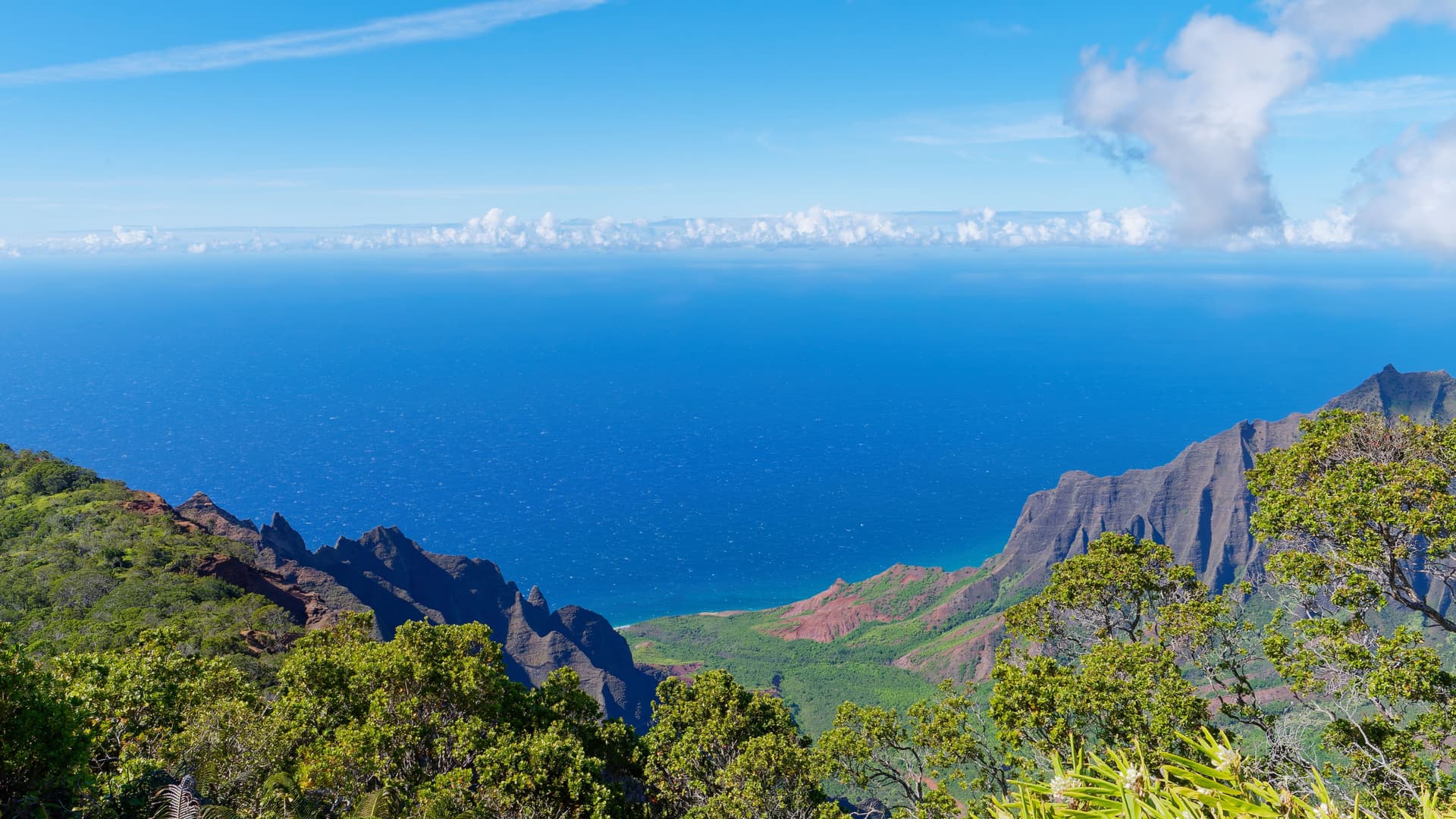 View of the Na pali coast and ocean from Kalalau lookout at kokee park on Kauai Hawaii.