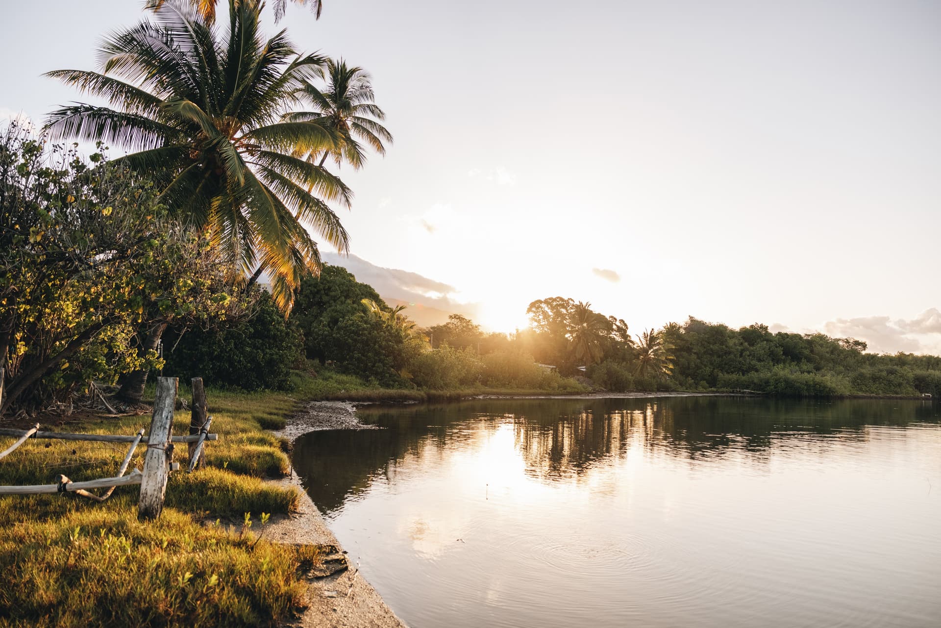 A fishpond and palm trees in Molokaʻi, Hawaiʻi