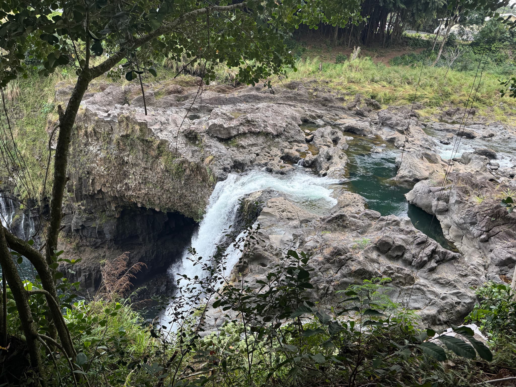 Rainbow Falls farm tour at OK Farms. Photo by Natasha Bourlin.