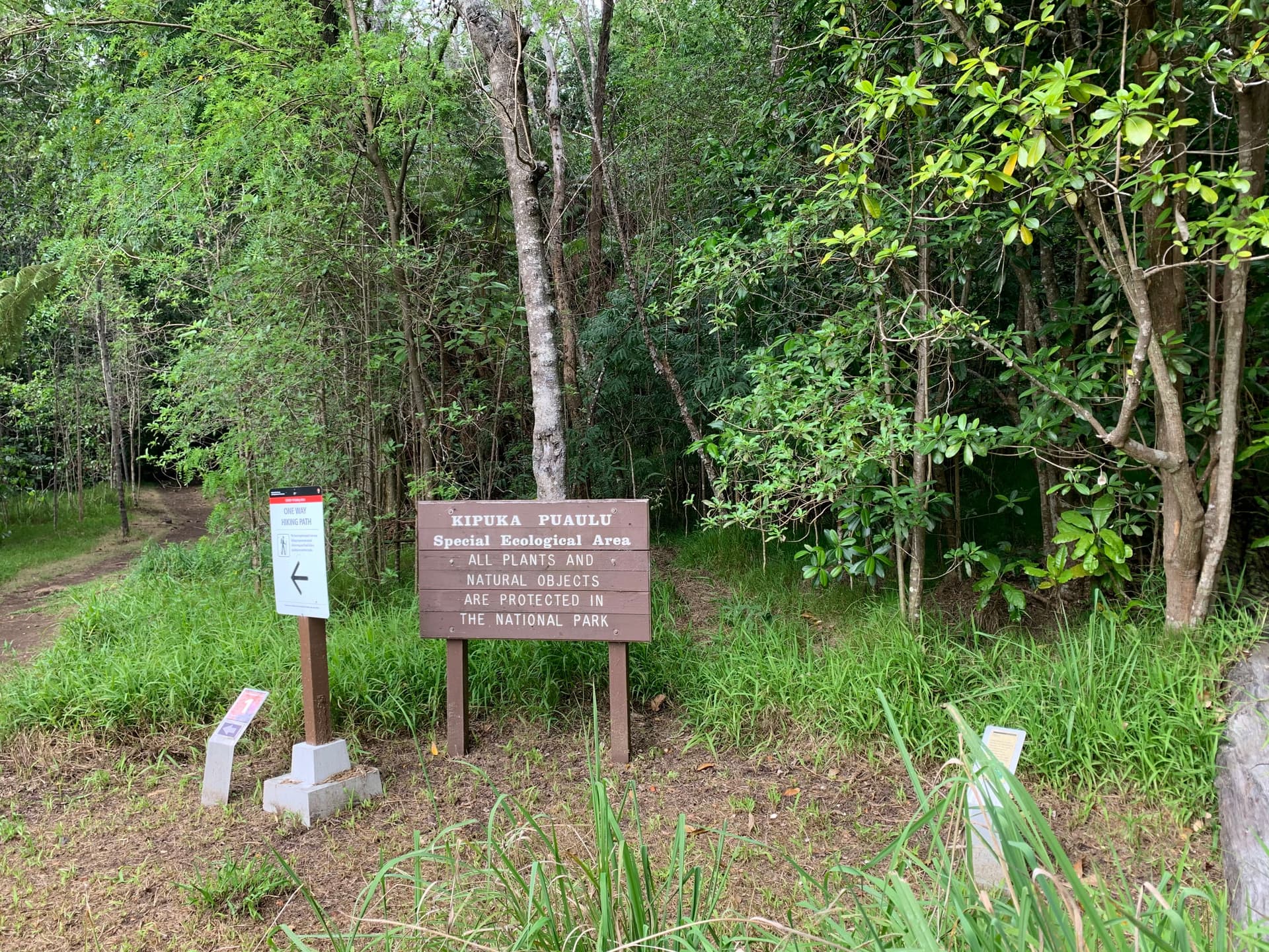 Trail head to Kīpukapuaulu Trail in Hawaii