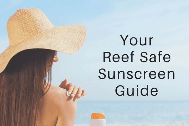 Hawaii Reef Safe Sunscreen Guide – 15 Sunscreens That Are Reef Safe