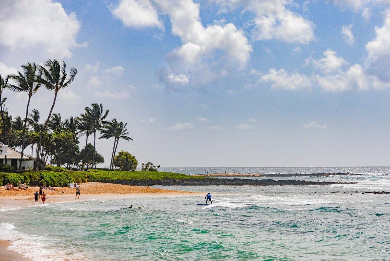 gentle waves at a palm tree-lined beach on kauai