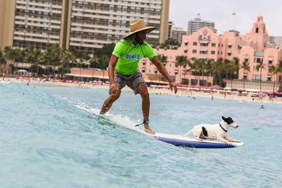 Duke’s OceanFest, Waikīkī Beach.