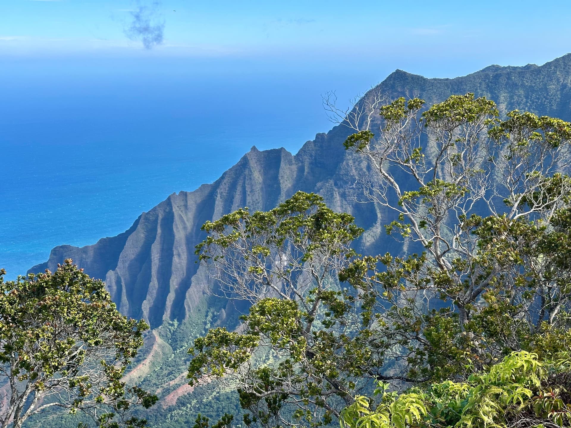 Kalalau lookout at kokee state park on Kauai, Hawaii