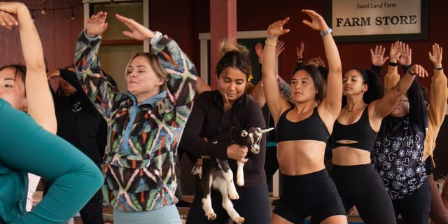 Goat Yoga on Oʻahu: What to Expect and Where to Book