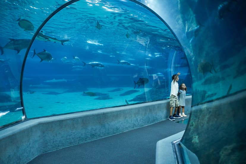 The Complete Guide to Maui Ocean Center