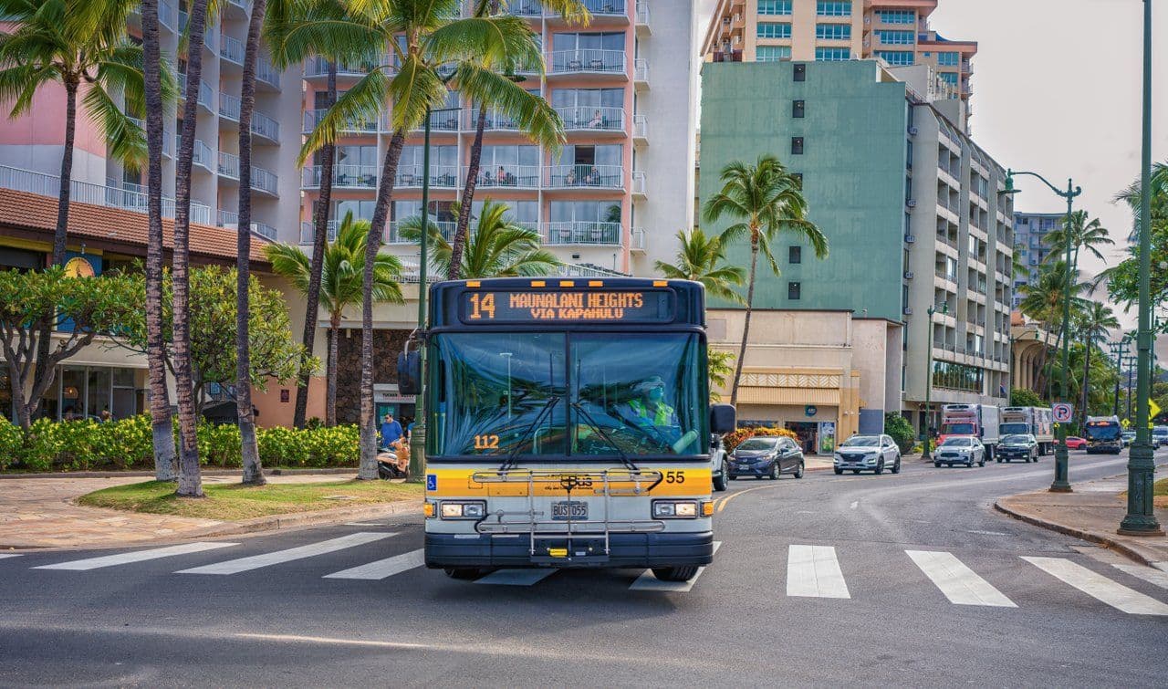 the bus on oahu hawaii