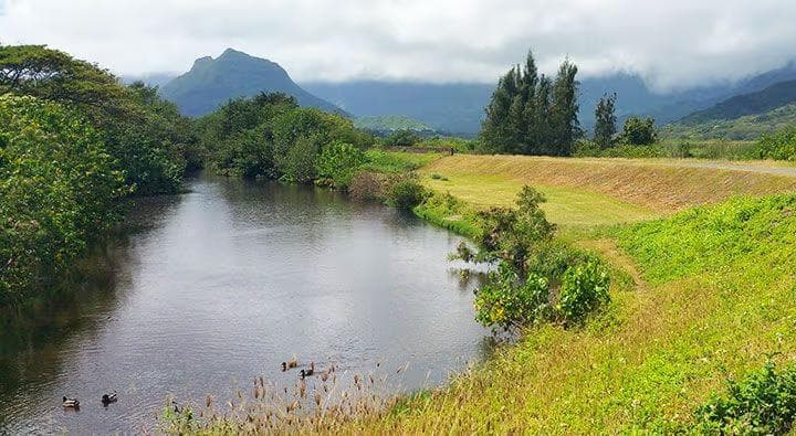 Kawainui Marsh, Kailua