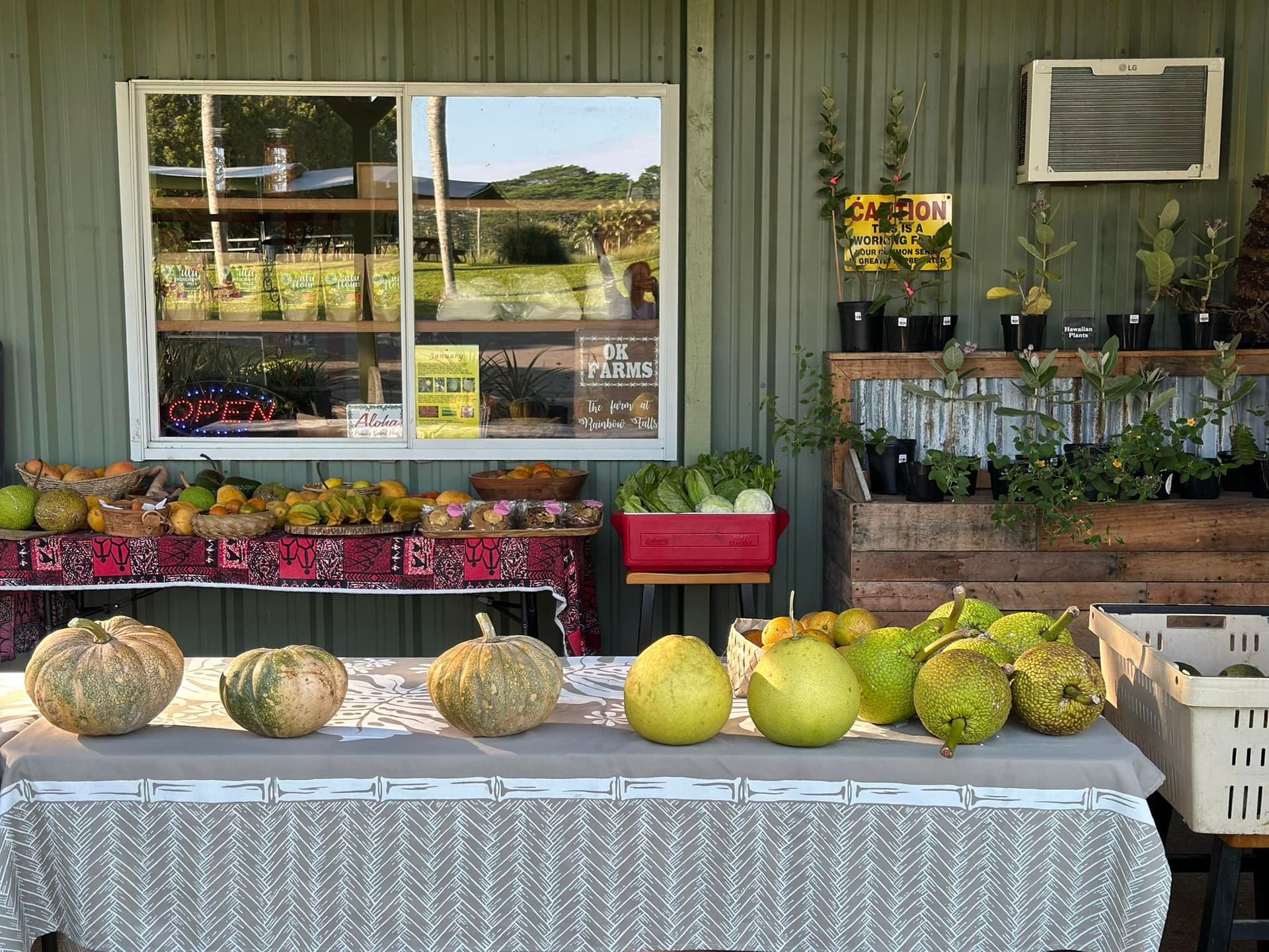 O.K. Farms stand in Hilo, Hawaii.