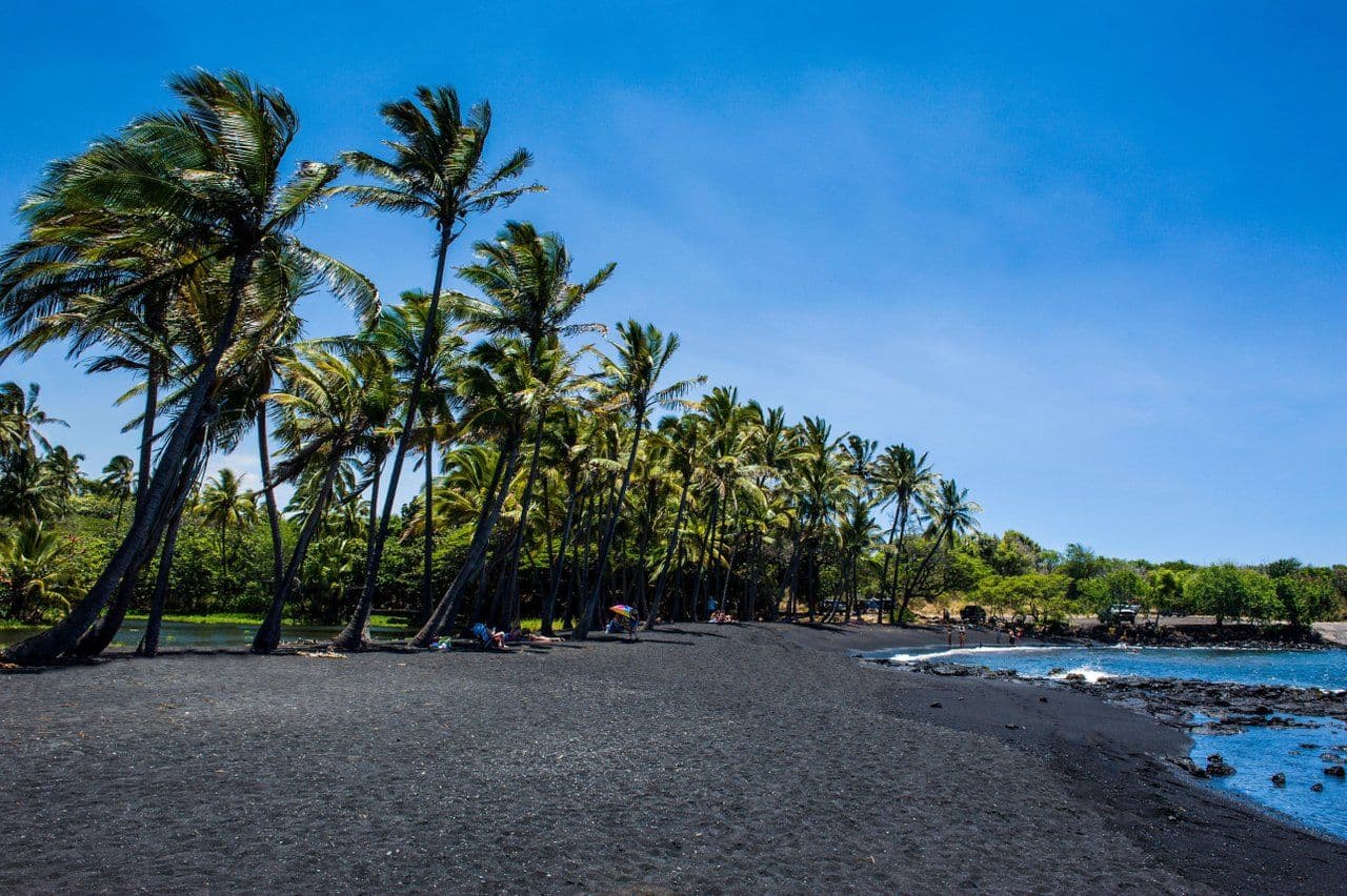 black sand beach with palm trees in hawaii