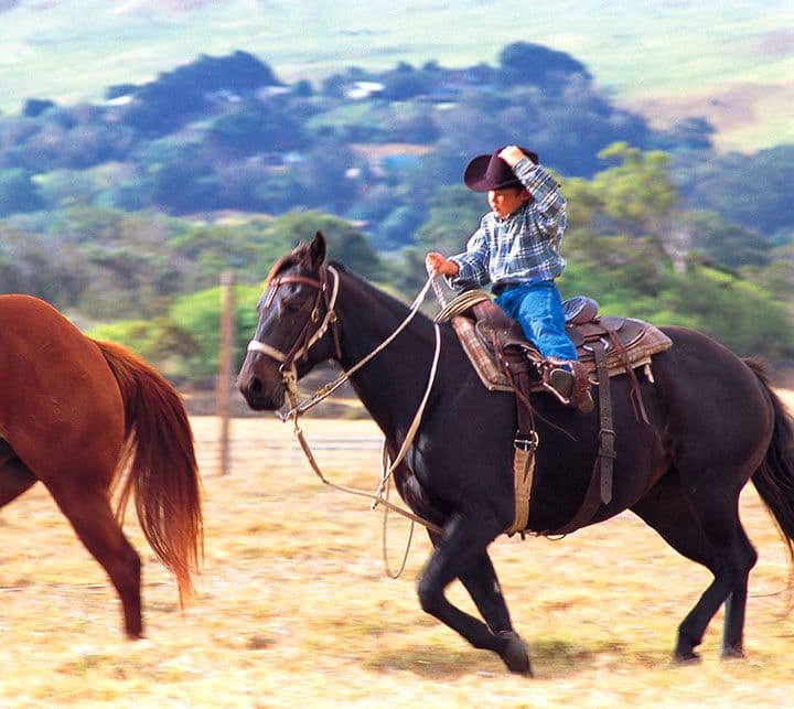 Photo courtesy of Hawaii Tourism Japan (HTJ).