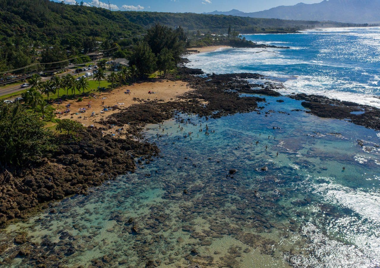Shark's Cove, North Shore. Photo by Nature's Charm (Shutterstock).